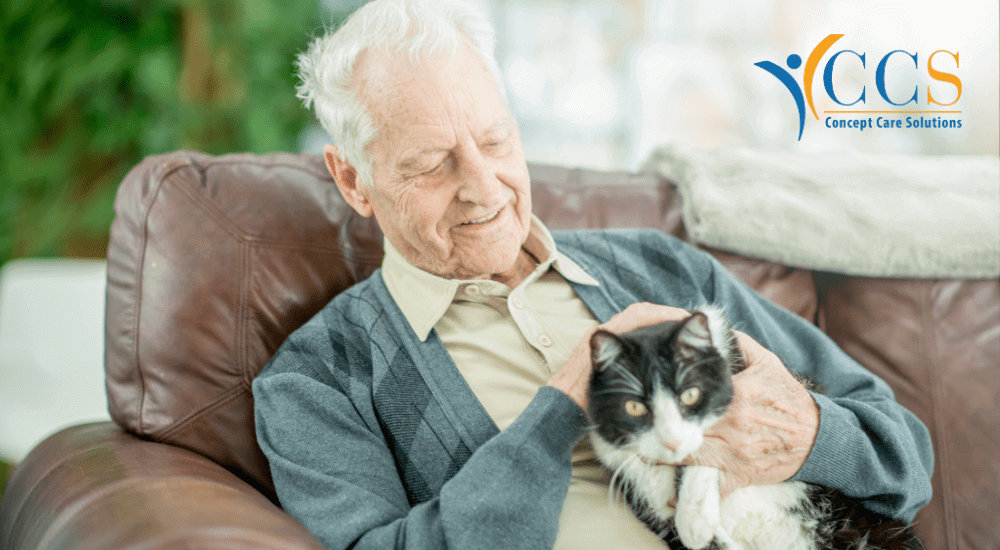 An elderly man smiling while gently stroking his black and white cat, representing the companionship and care provided by Concept Care Community Services.