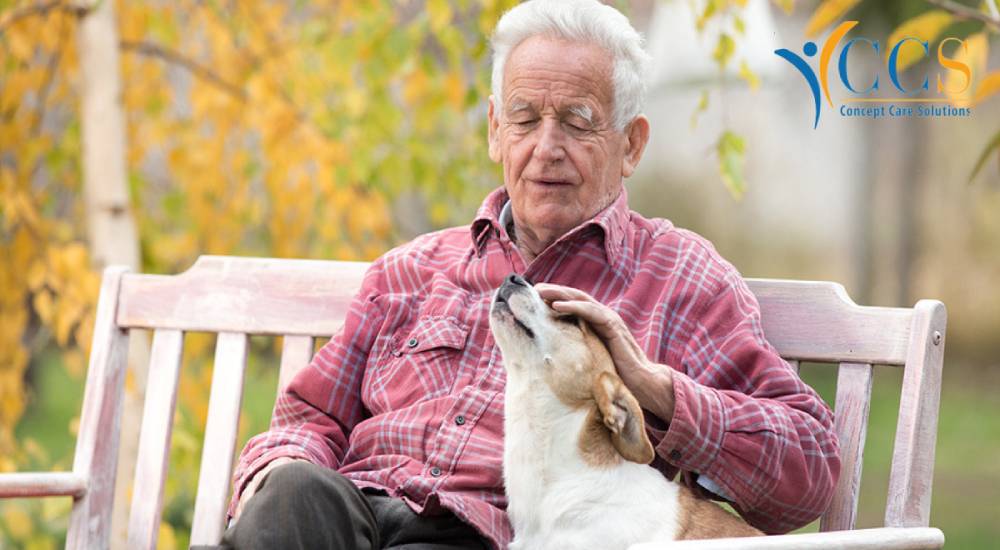 The Benefits of Regular Dog Walking For Older People!